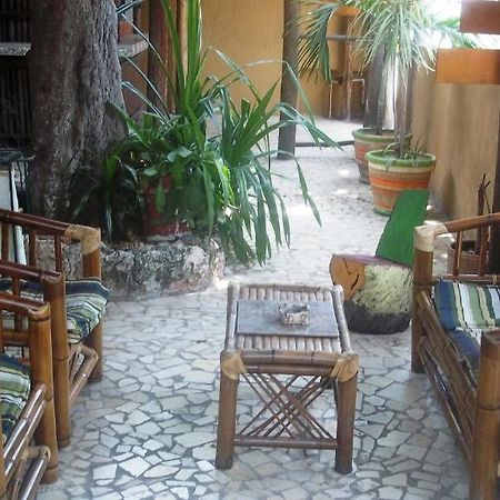 Mayan Hostel 칸쿤 외부 사진