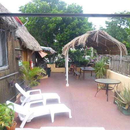 Mayan Hostel 칸쿤 외부 사진