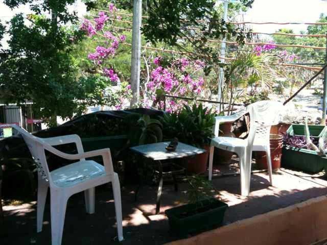 Mayan Hostel 칸쿤 외부 사진
