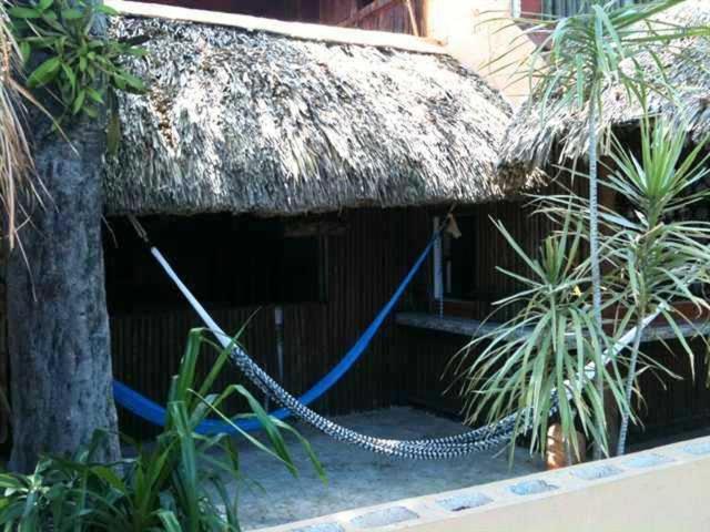 Mayan Hostel 칸쿤 외부 사진