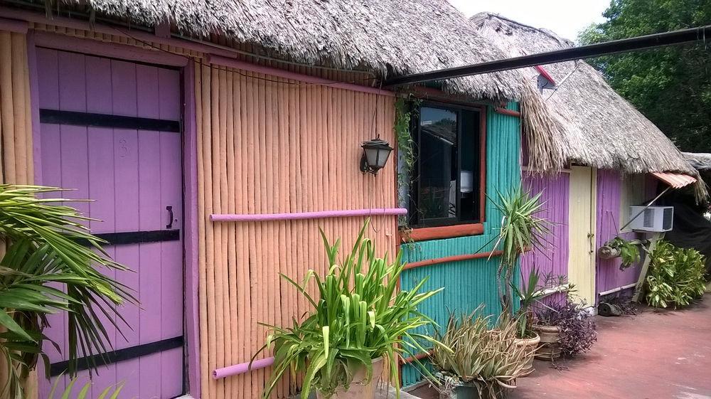 Mayan Hostel 칸쿤 외부 사진