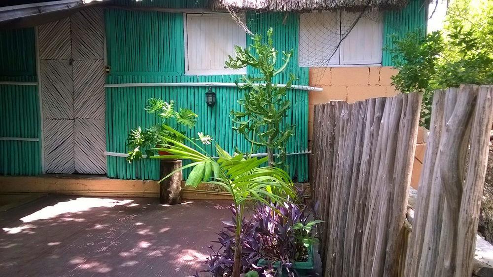 Mayan Hostel 칸쿤 외부 사진