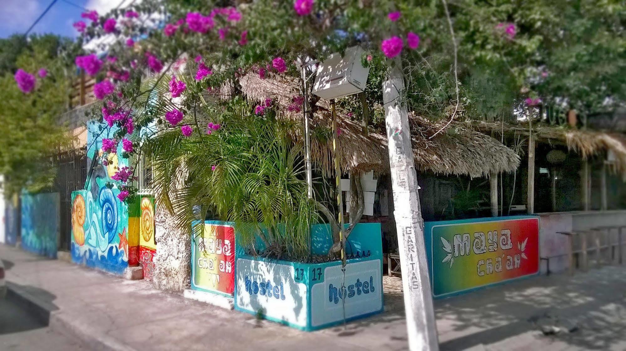 Mayan Hostel 칸쿤 외부 사진